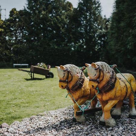 Pferdeidylle Direkt Neben Berlin In Dallgow Bagian luar foto